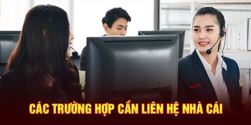 Liên hệ 8xbet