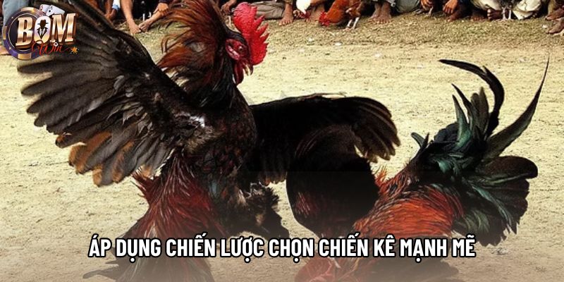 Áp dụng chiến lược chọn chiến kê mạnh mẽ